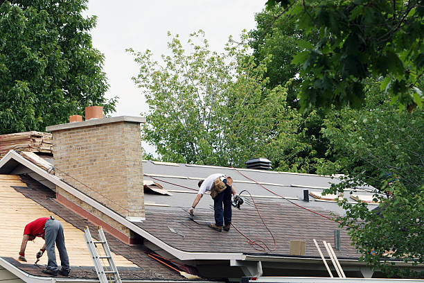 Best Storm Damage Roof Repair  in Bluewell, WV