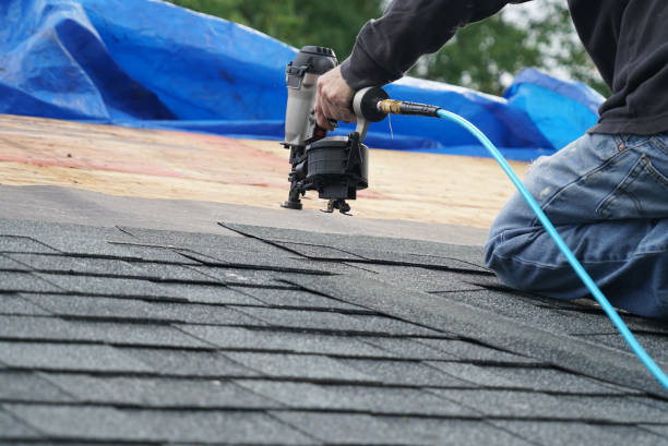 Best Gutter Installation and Roofing  in Bluewell, WV
