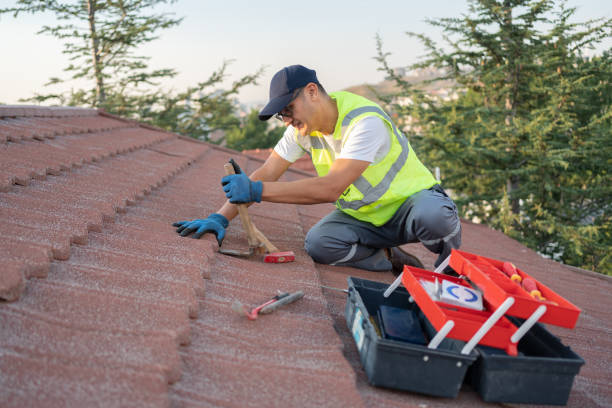 Best Roof Leak Repair  in Bluewell, WV